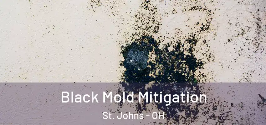 Black Mold Mitigation St. Johns - OH