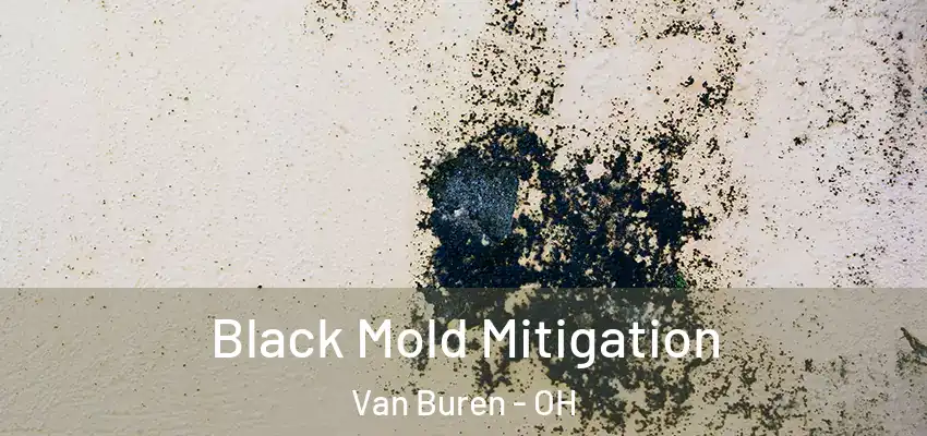 Black Mold Mitigation Van Buren - OH
