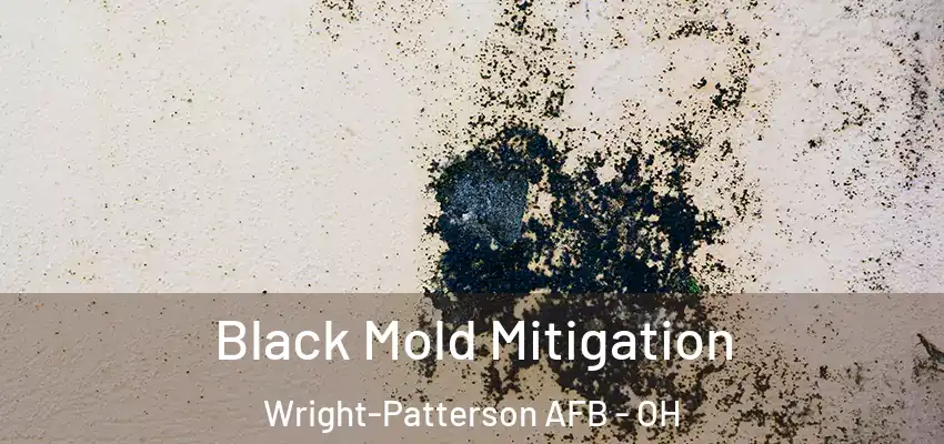 Black Mold Mitigation Wright-Patterson AFB - OH