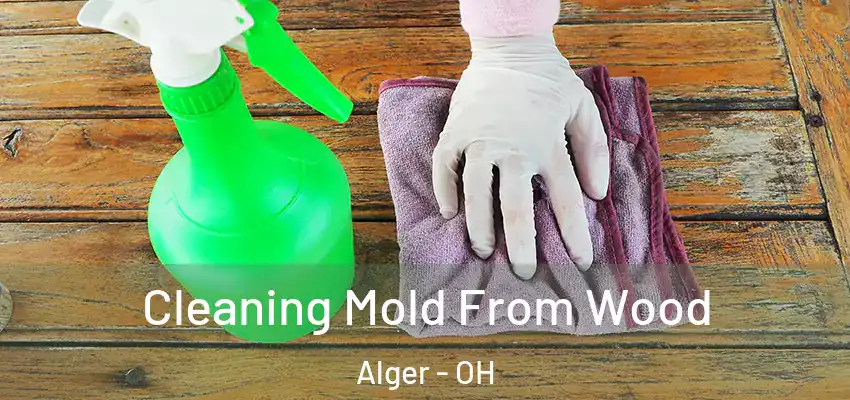  Cleaning Mold From Wood Alger - OH