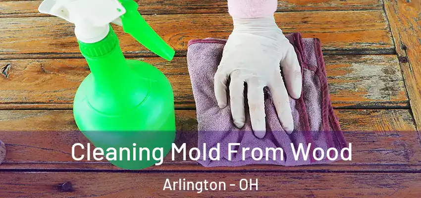  Cleaning Mold From Wood Arlington - OH