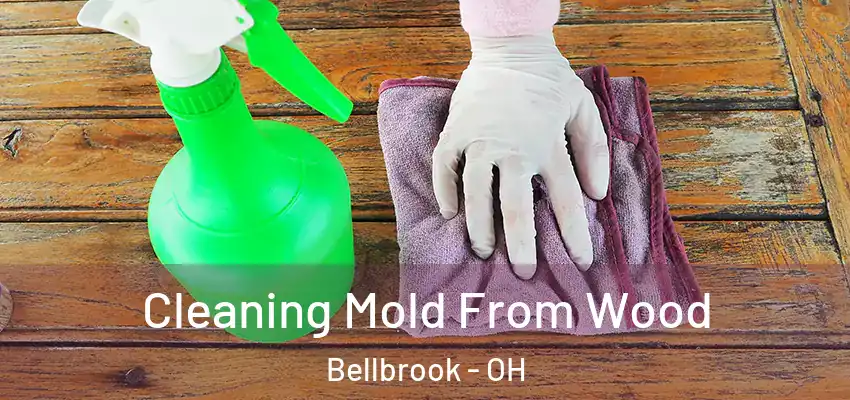 Cleaning Mold From Wood Bellbrook - OH
