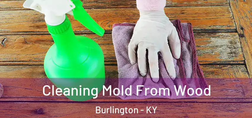  Cleaning Mold From Wood Burlington - KY
