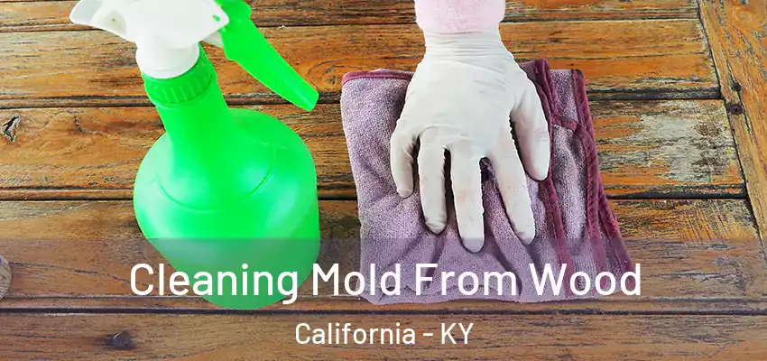  Cleaning Mold From Wood California - KY