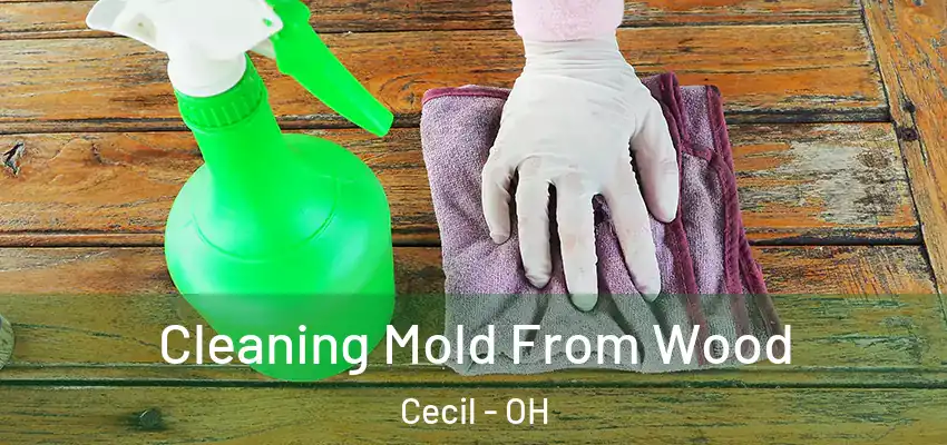 Cleaning Mold From Wood Cecil - OH
