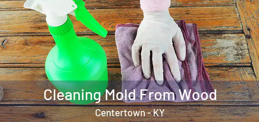 Cleaning Mold From Wood Centertown - KY