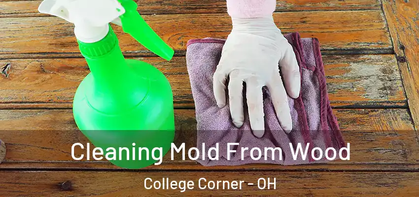  Cleaning Mold From Wood College Corner - OH