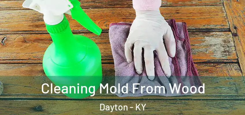  Cleaning Mold From Wood Dayton - KY