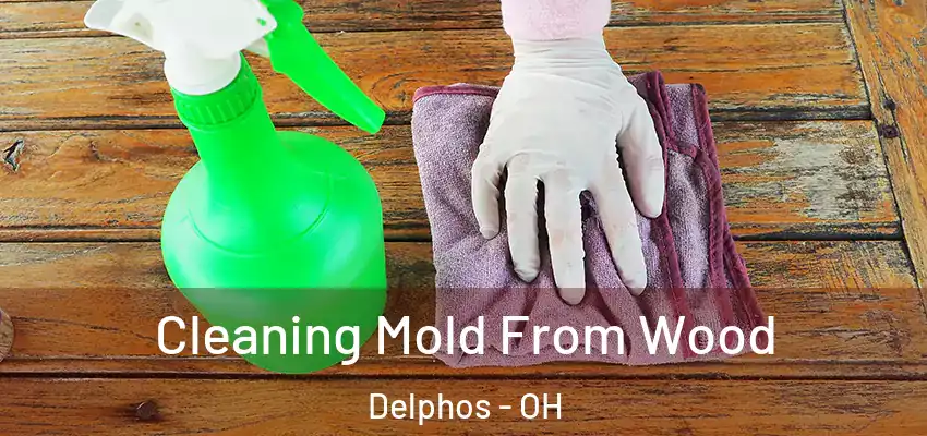  Cleaning Mold From Wood Delphos - OH