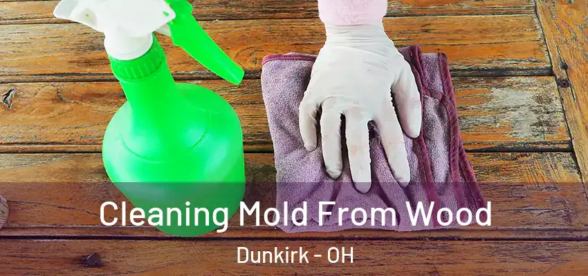 Cleaning Mold From Wood Dunkirk - OH