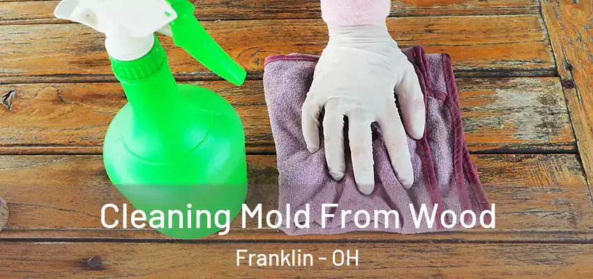 Cleaning Mold From Wood Franklin - OH