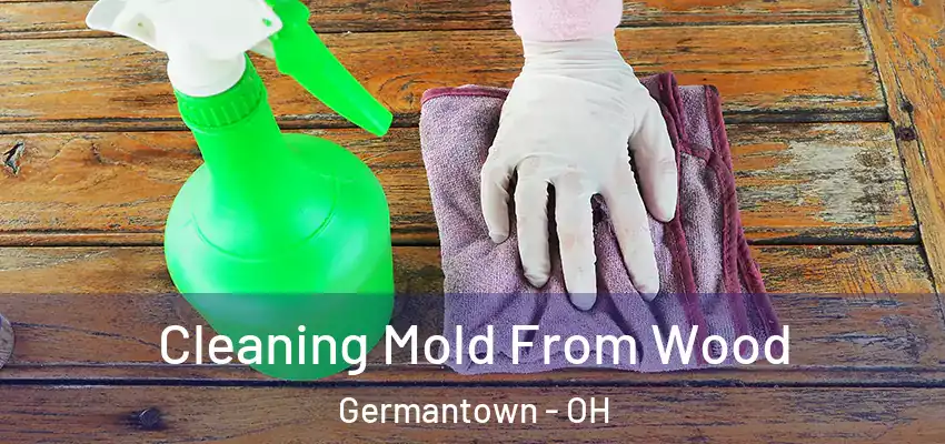 Cleaning Mold From Wood Germantown - OH