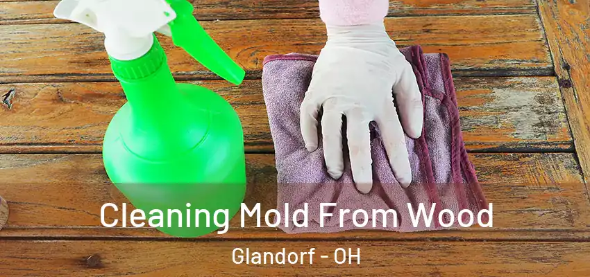 Cleaning Mold From Wood Glandorf - OH