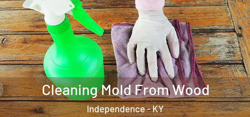  Cleaning Mold From Wood Independence - KY