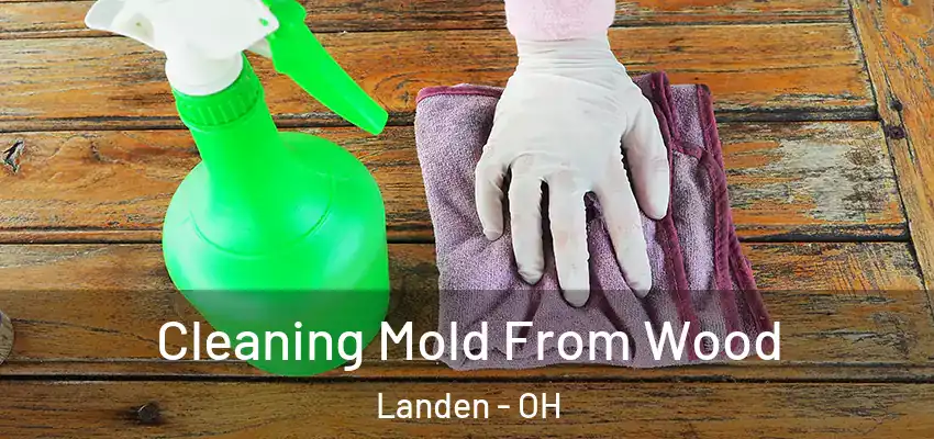  Cleaning Mold From Wood Landen - OH