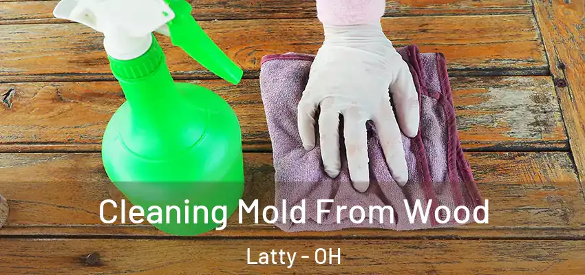 Cleaning Mold From Wood Latty - OH
