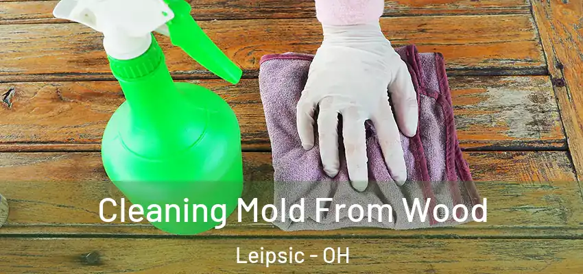 Cleaning Mold From Wood Leipsic - OH
