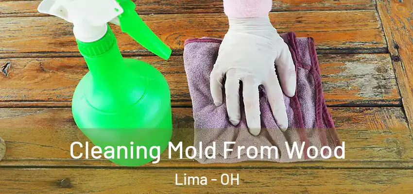 Cleaning Mold From Wood Lima - OH
