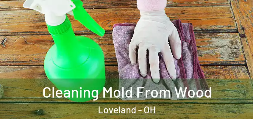 Cleaning Mold From Wood Loveland - OH