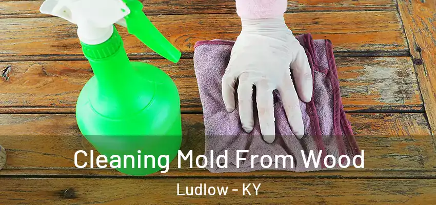  Cleaning Mold From Wood Ludlow - KY