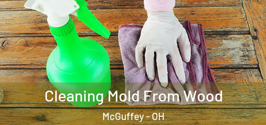 Cleaning Mold From Wood McGuffey - OH