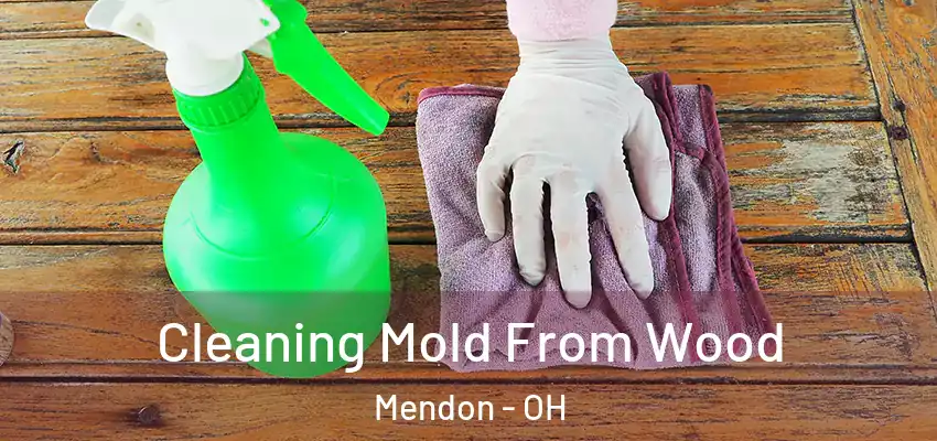 Cleaning Mold From Wood Mendon - OH