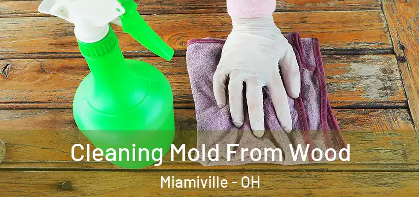  Cleaning Mold From Wood Miamiville - OH