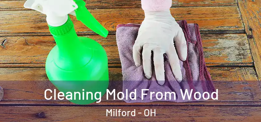  Cleaning Mold From Wood Milford - OH