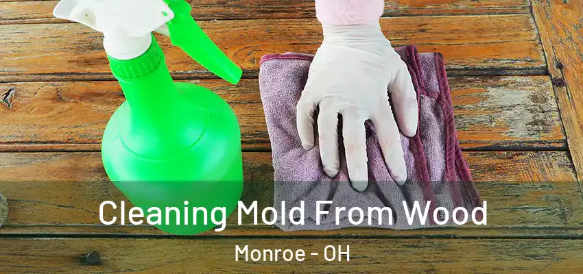 Cleaning Mold From Wood Monroe - OH