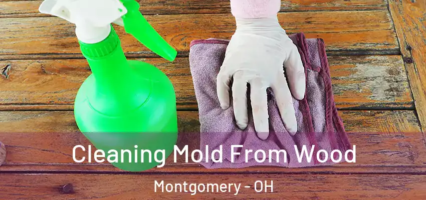  Cleaning Mold From Wood Montgomery - OH