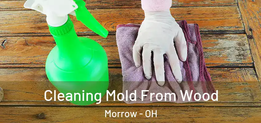 Cleaning Mold From Wood Morrow - OH