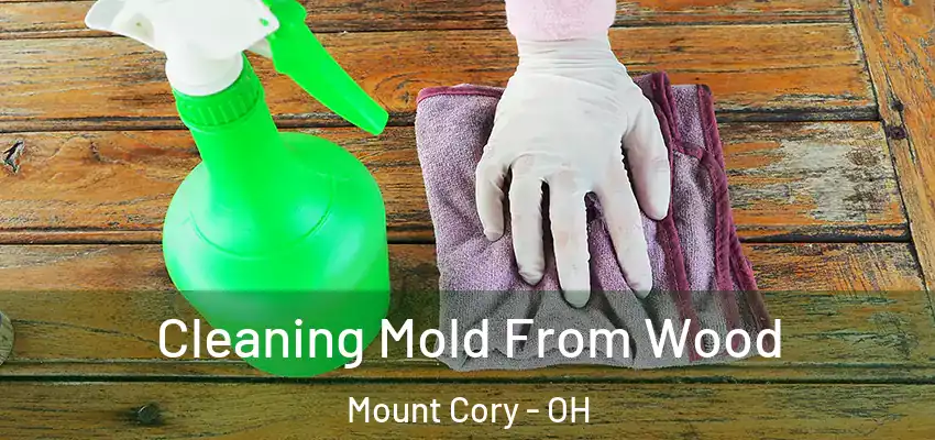 Cleaning Mold From Wood Mount Cory - OH