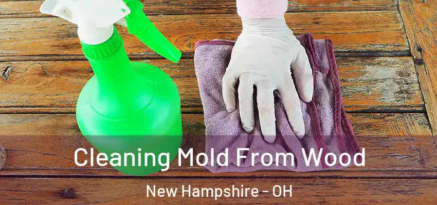 Cleaning Mold From Wood New Hampshire - OH