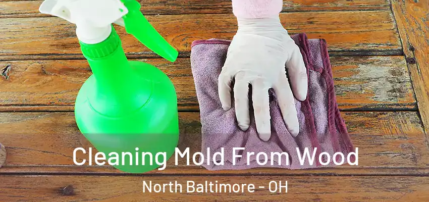  Cleaning Mold From Wood North Baltimore - OH