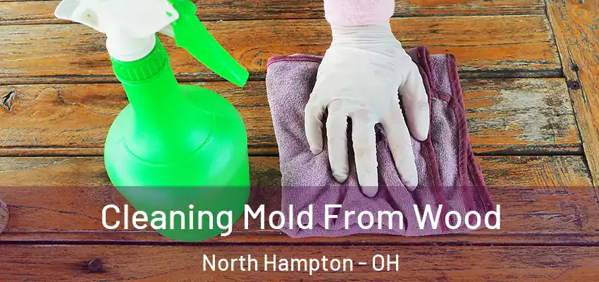 Cleaning Mold From Wood North Hampton - OH