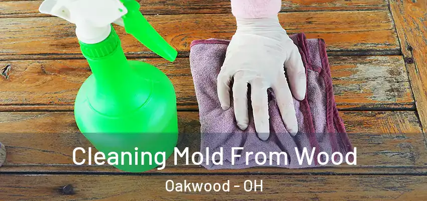  Cleaning Mold From Wood Oakwood - OH