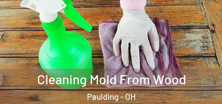 Cleaning Mold From Wood Paulding - OH