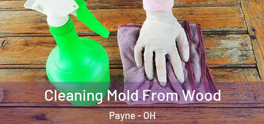 Cleaning Mold From Wood Payne - OH