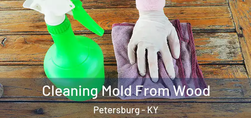 Cleaning Mold From Wood Petersburg - KY