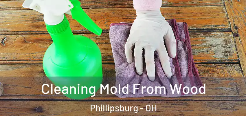  Cleaning Mold From Wood Phillipsburg - OH