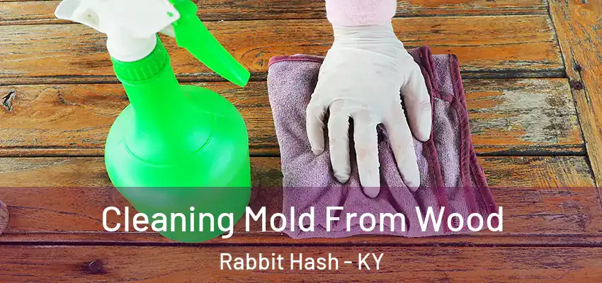  Cleaning Mold From Wood Rabbit Hash - KY