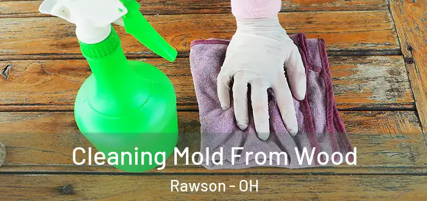 Cleaning Mold From Wood Rawson - OH