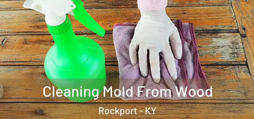  Cleaning Mold From Wood Rockport - KY