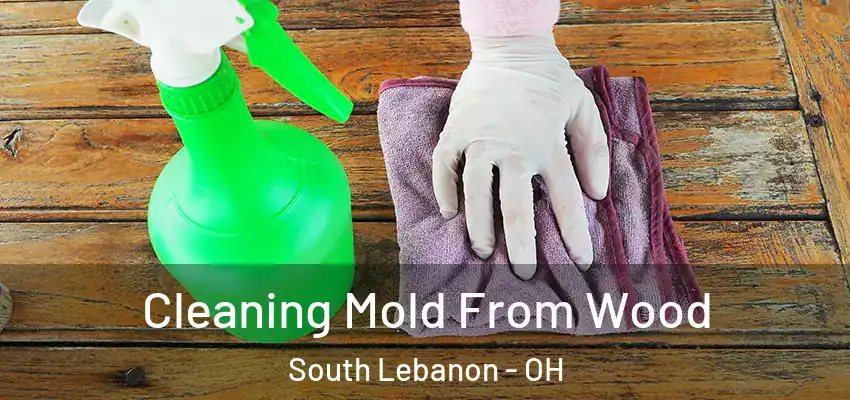  Cleaning Mold From Wood South Lebanon - OH