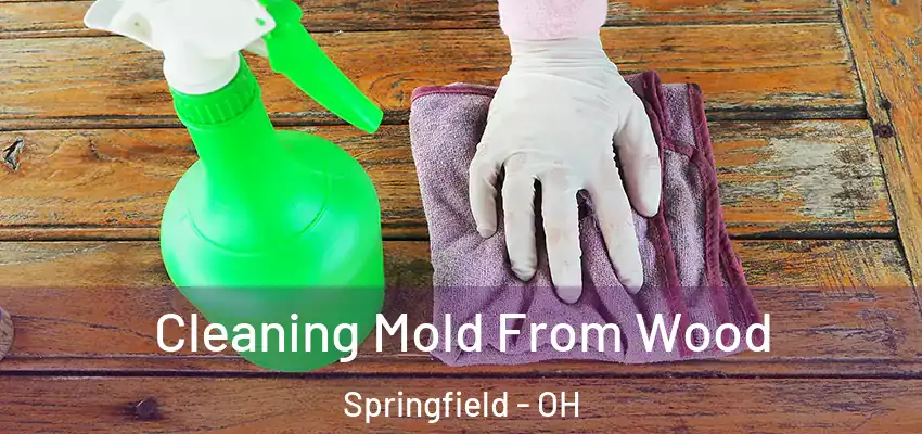 Cleaning Mold From Wood Springfield - OH