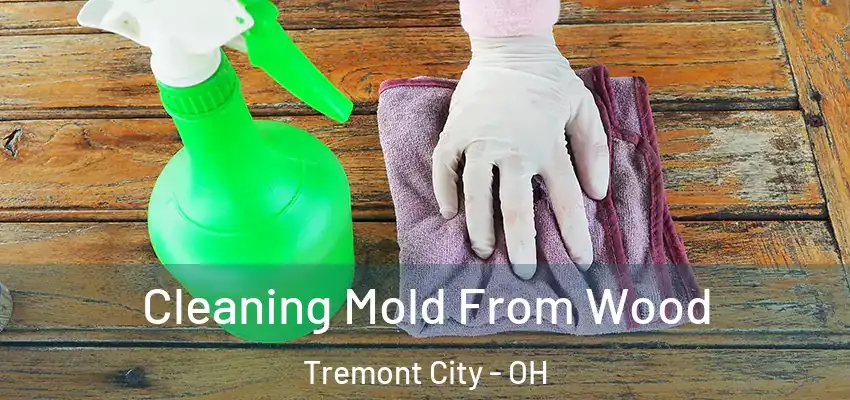 Cleaning Mold From Wood Tremont City - OH