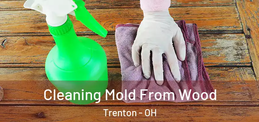  Cleaning Mold From Wood Trenton - OH