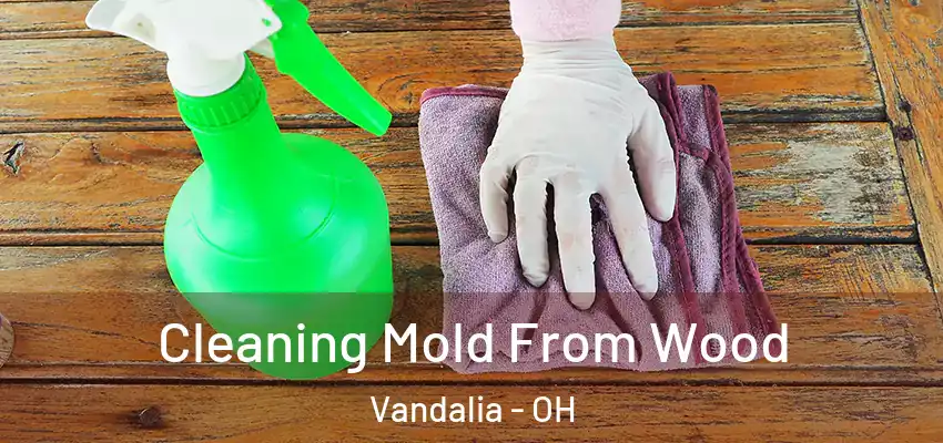  Cleaning Mold From Wood Vandalia - OH