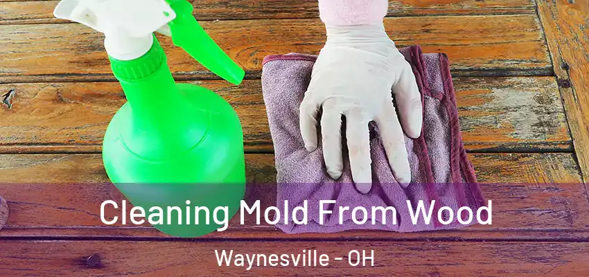  Cleaning Mold From Wood Waynesville - OH