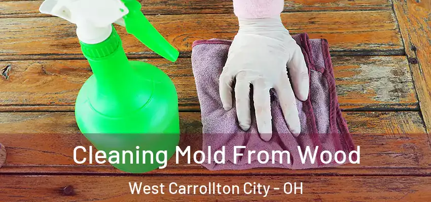 Cleaning Mold From Wood West Carrollton City - OH